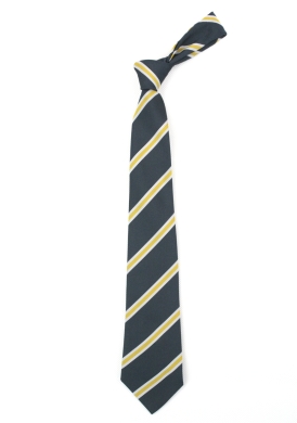 Harris Academy Purley Tie - Yellow (Yrs 9-11)